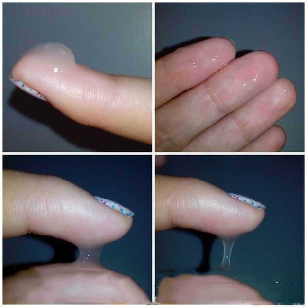 它是什么样的